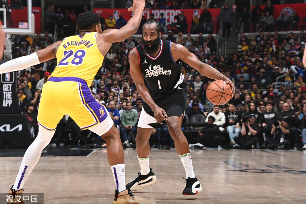 部和背部 部和背部